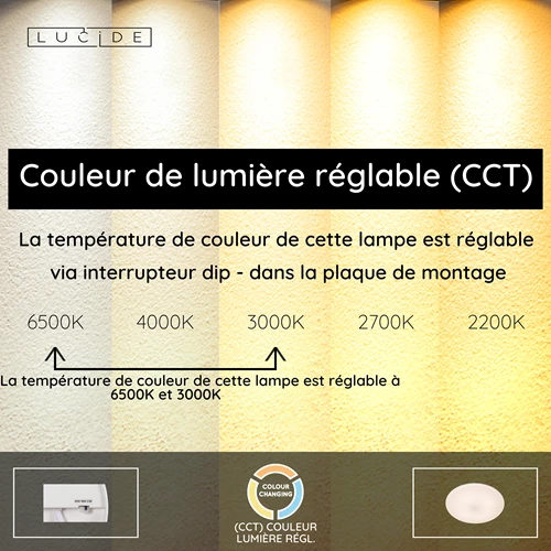 Lucide OLSON - Plafonnier Salle de bains - Ø 29 cm - LED - CCT - 1x24W 3000K/6500K - IP44 - Opalin - USP